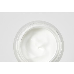 OGILab Jeju Vita Cream